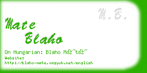 mate blaho business card